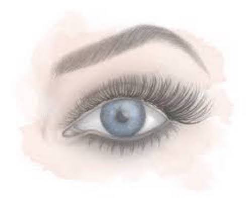 a sketch of an eye with beautiful brow and lash
